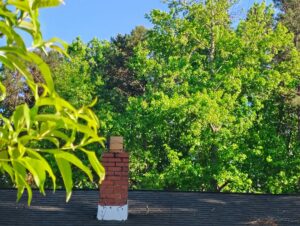 Homeowner reviews a roofing repair proposal beside a worker inspecting damaged shingles on a residential roof.